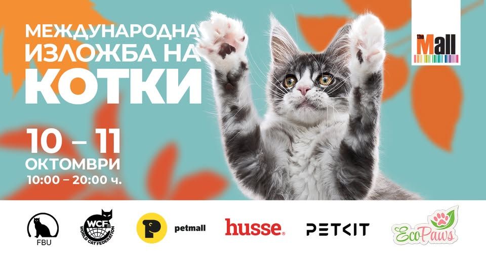 Международна изложба на котки в The Mall​